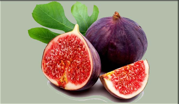 Friday Fig